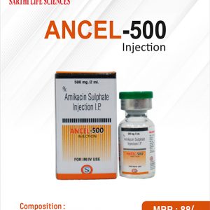 ANCEL-500