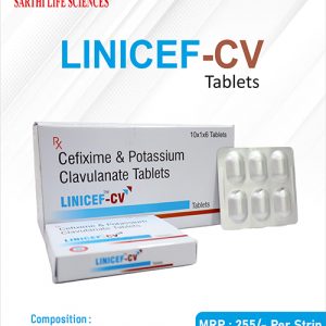 LINICEF-CV