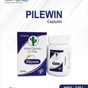 PILEWIN