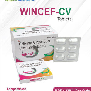 WINCEF-CV