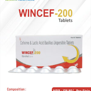 WINCEF-200